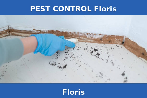 PEST CONTROL Floris